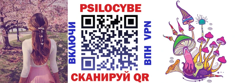купить наркотики сайты  Малая Вишера  Псилоцибиновые грибы ЛСД 